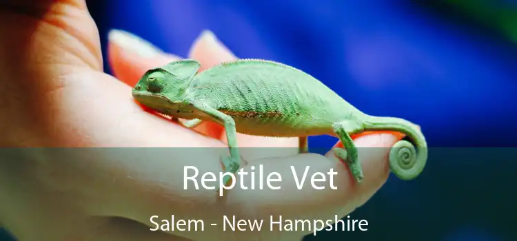 Reptile Vet Salem - New Hampshire