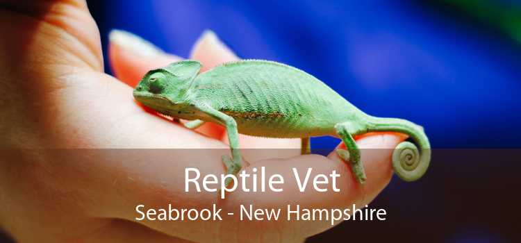 Reptile Vet Seabrook - New Hampshire
