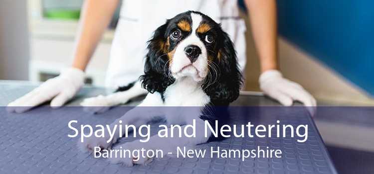 Spaying and Neutering Barrington - New Hampshire