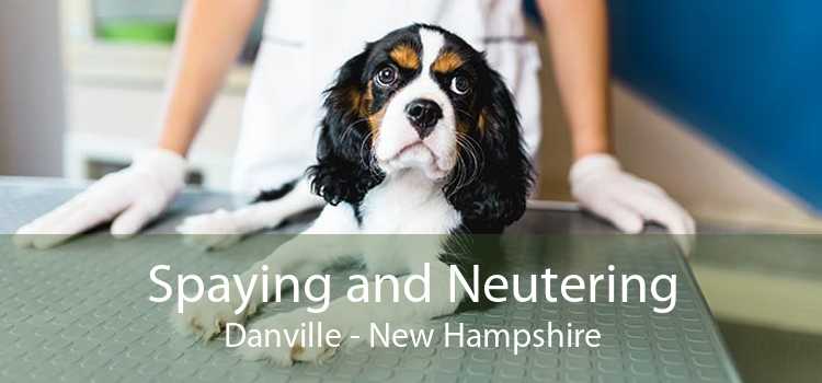 Spaying and Neutering Danville - New Hampshire