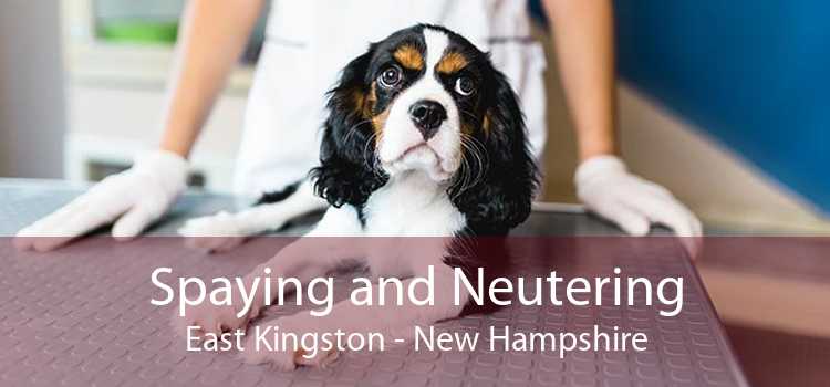 Spaying and Neutering East Kingston - New Hampshire