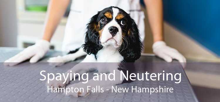 Spaying and Neutering Hampton Falls - New Hampshire