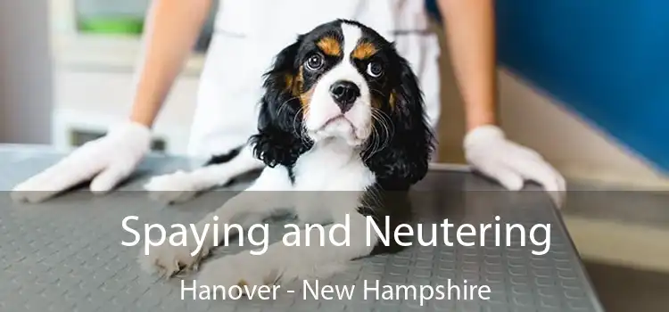 Spaying and Neutering Hanover - New Hampshire