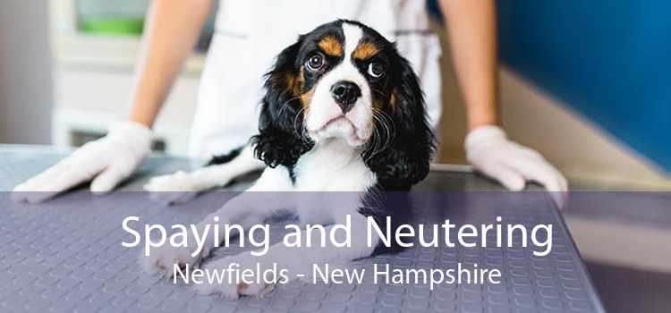Spaying and Neutering Newfields - New Hampshire