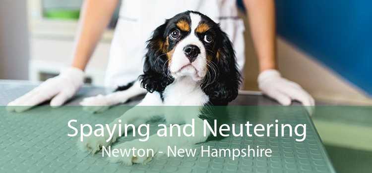 Spaying and Neutering Newton - New Hampshire