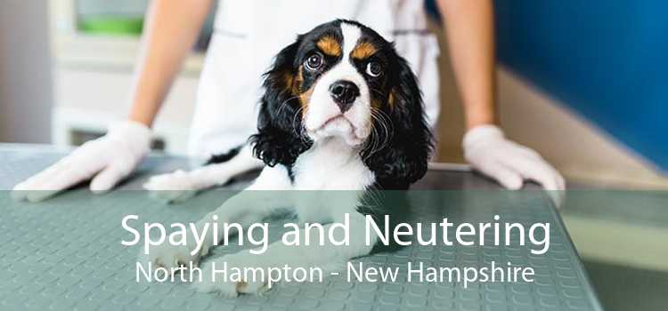 Spaying and Neutering North Hampton - New Hampshire