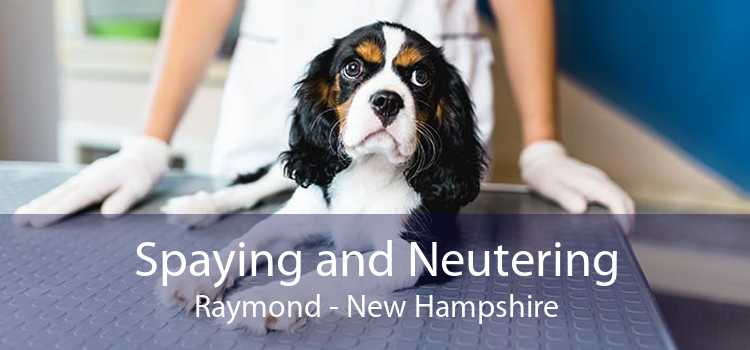 Spaying and Neutering Raymond - New Hampshire