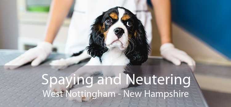 Spaying and Neutering West Nottingham - New Hampshire