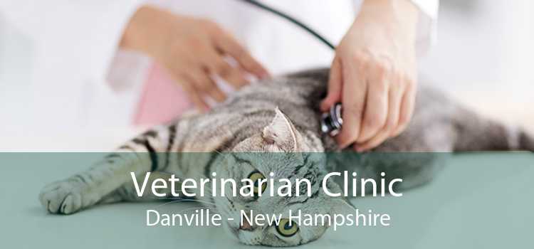 Veterinarian Clinic Danville - New Hampshire
