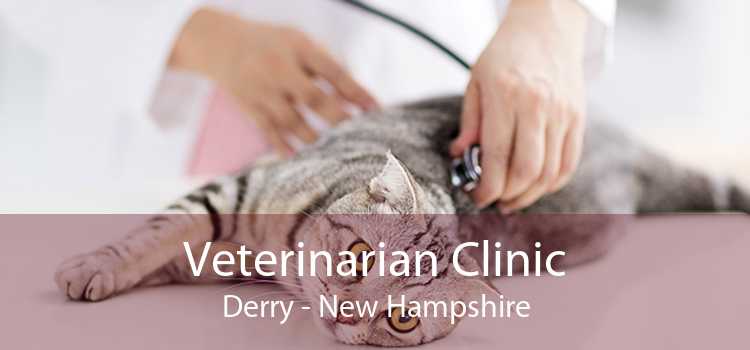 Veterinarian Clinic Derry - New Hampshire