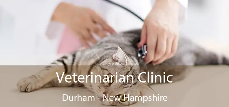 Veterinarian Clinic Durham - New Hampshire