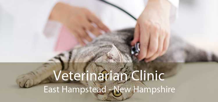Veterinarian Clinic East Hampstead - New Hampshire