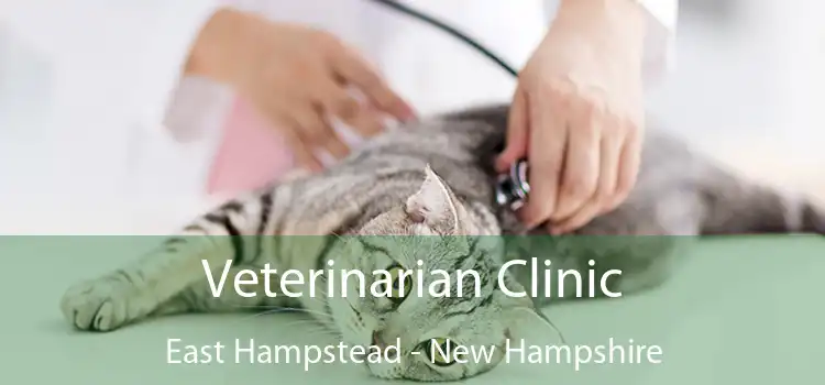 Veterinarian Clinic East Hampstead - New Hampshire