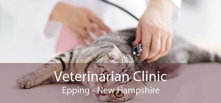 Veterinarian Clinic Epping - New Hampshire