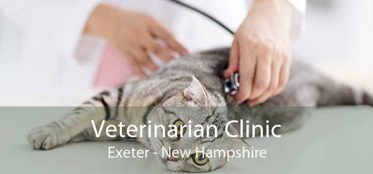 Veterinarian Clinic Exeter - New Hampshire