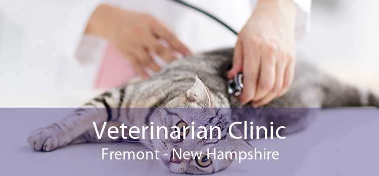 Veterinarian Clinic Fremont - New Hampshire