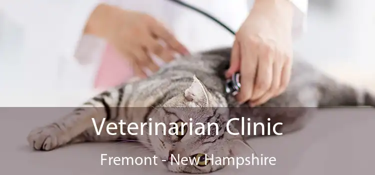 Veterinarian Clinic Fremont - New Hampshire