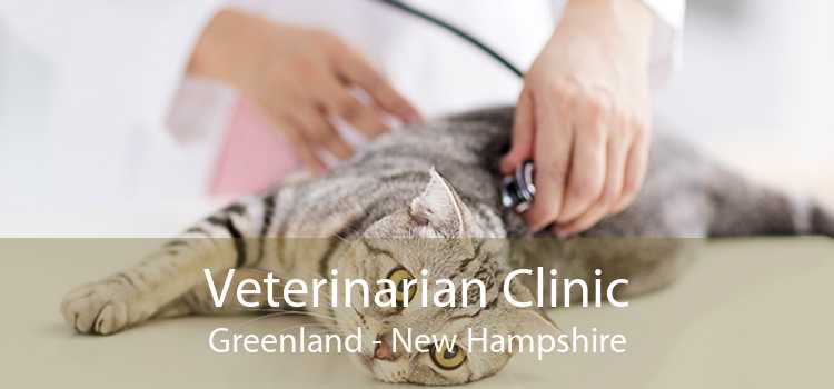 Veterinarian Clinic Greenland - New Hampshire