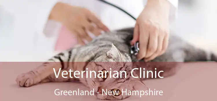 Veterinarian Clinic Greenland - New Hampshire