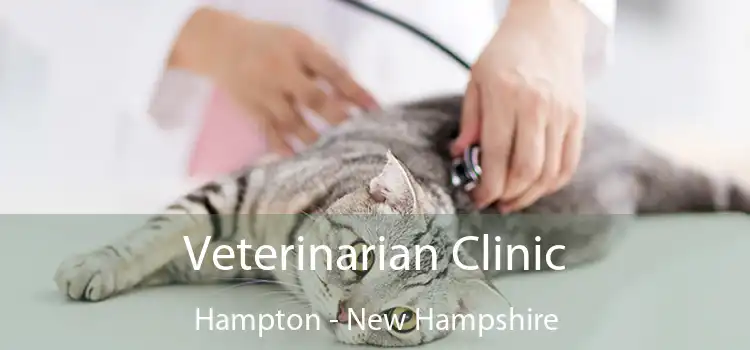 Veterinarian Clinic Hampton - New Hampshire