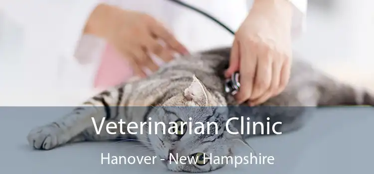 Veterinarian Clinic Hanover - New Hampshire