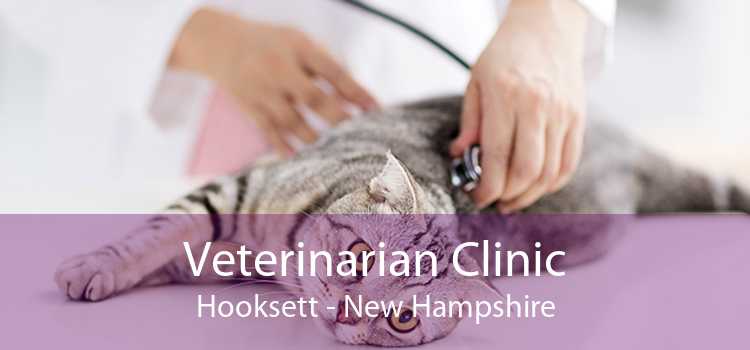 Veterinarian Clinic Hooksett - New Hampshire