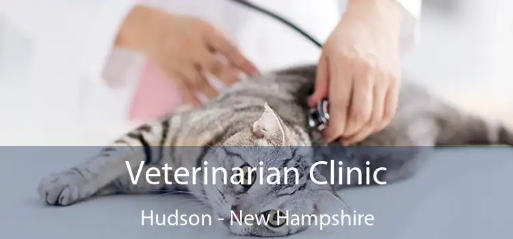 Veterinarian Clinic Hudson - New Hampshire