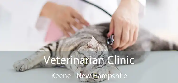 Veterinarian Clinic Keene - New Hampshire