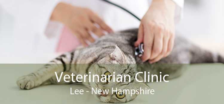 Veterinarian Clinic Lee - New Hampshire