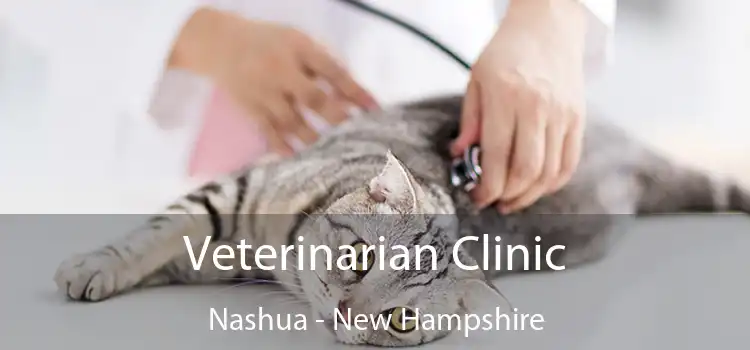 Veterinarian Clinic Nashua - New Hampshire