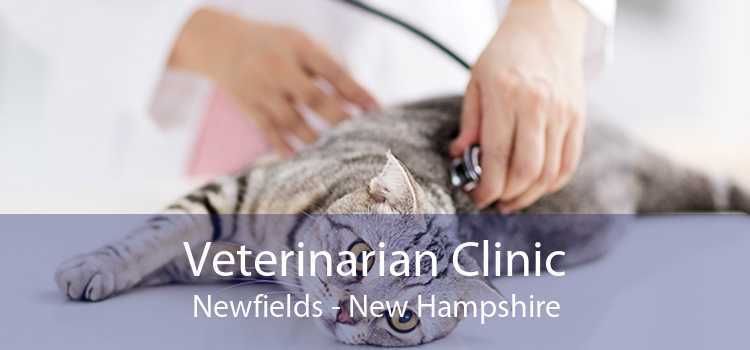 Veterinarian Clinic Newfields - New Hampshire