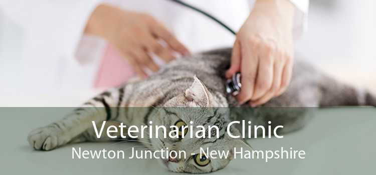 Veterinarian Clinic Newton Junction - New Hampshire