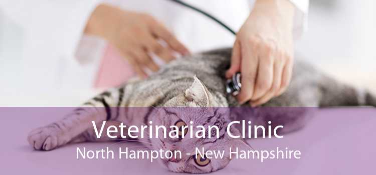 Veterinarian Clinic North Hampton - New Hampshire