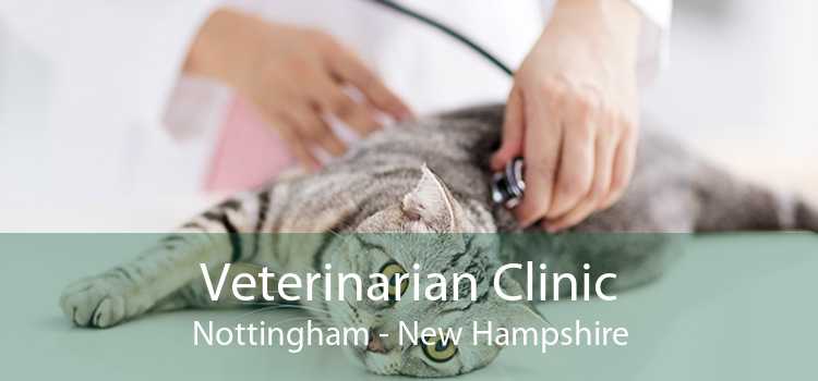 Veterinarian Clinic Nottingham - New Hampshire
