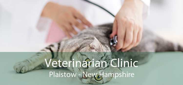 Veterinarian Clinic Plaistow - New Hampshire