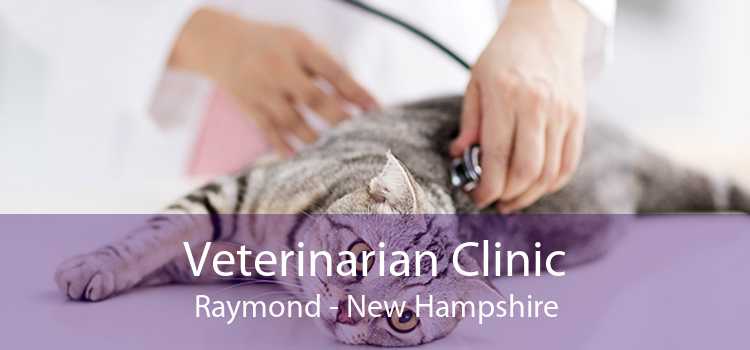 Veterinarian Clinic Raymond - New Hampshire