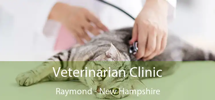 Veterinarian Clinic Raymond - New Hampshire