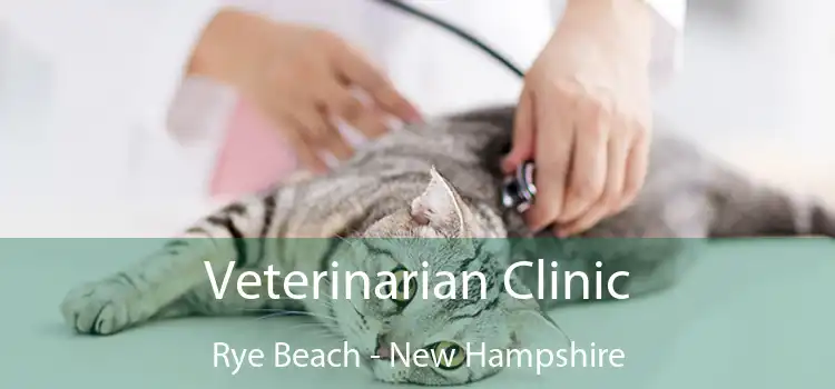 Veterinarian Clinic Rye Beach - New Hampshire