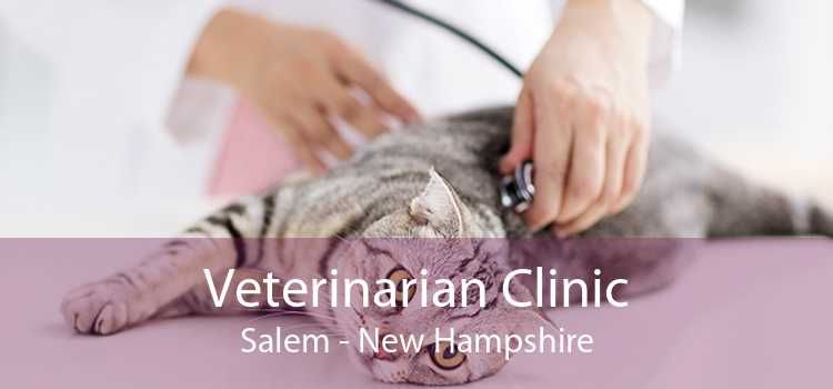 Veterinarian Clinic Salem - New Hampshire