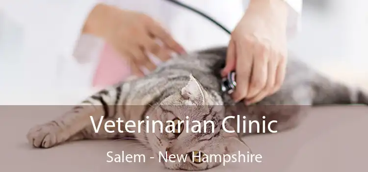 Veterinarian Clinic Salem - New Hampshire