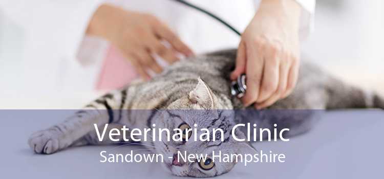 Veterinarian Clinic Sandown - New Hampshire