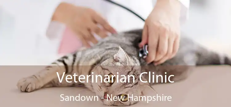 Veterinarian Clinic Sandown - New Hampshire