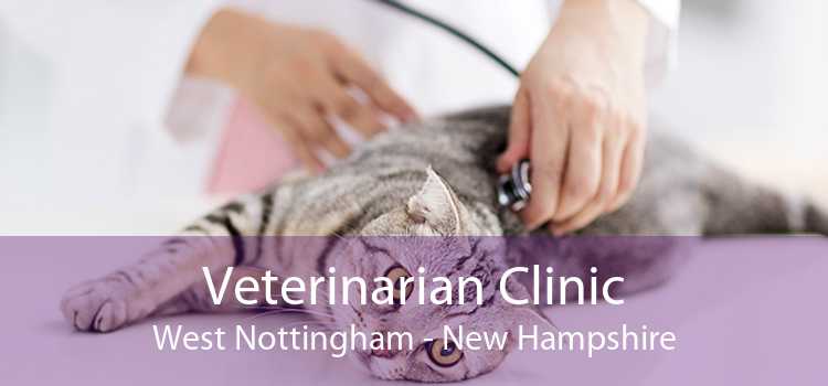 Veterinarian Clinic West Nottingham - New Hampshire