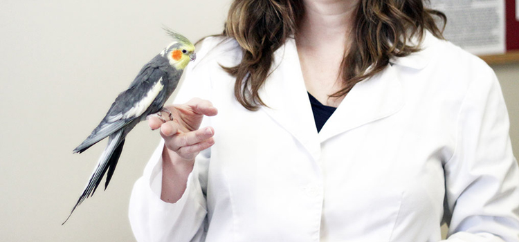 bird regular veterinary hospital in New Castle clinic